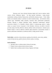 Lietuvos aukštojo mokslo reforma rašto darbas 3 puslapis