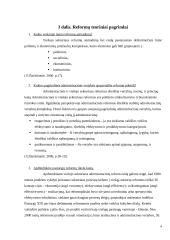 Lietuvos aukštojo mokslo reforma rašto darbas 4 puslapis