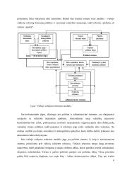 Lietuvos aukštojo mokslo reforma rašto darbas 8 puslapis
