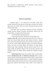 Pajamų nelygybė ir lorenco kreivė 11 puslapis