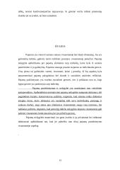 Pajamų nelygybė ir lorenco kreivė 13 puslapis