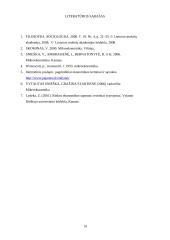 Pajamų nelygybė ir lorenco kreivė 14 puslapis