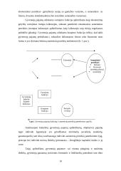 Pajamų nelygybė ir lorenco kreivė 10 puslapis