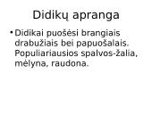 Viduramžių apranga 7 puslapis