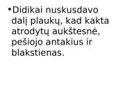 Viduramžių apranga 10 puslapis