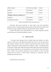Individualios įmonės „Marine Barber“ verslo planas 12 puslapis