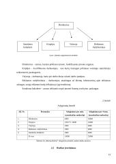 Individualios įmonės „Marine Barber“ verslo planas 13 puslapis