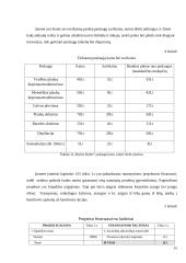 Individualios įmonės „Marine Barber“ verslo planas 15 puslapis