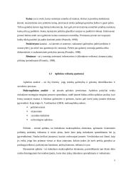 Individualios įmonės „Marine Barber“ verslo planas 5 puslapis