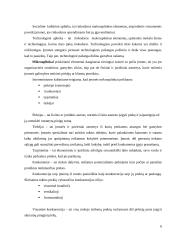 Individualios įmonės „Marine Barber“ verslo planas 6 puslapis