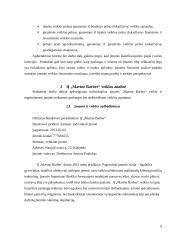 Individualios įmonės „Marine Barber“ verslo planas 9 puslapis