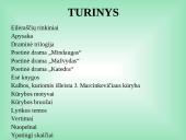 Justinas Marcinkevičius, jo kūryba, knygų aprašymas, santrauka 2 puslapis