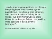 Justinas Marcinkevičius, jo kūryba, knygų aprašymas, santrauka 3 puslapis