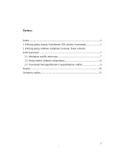 Nedemokratinės valdymo formos 2 puslapis