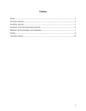 Verslo inovacijos pasaulyje 2 puslapis