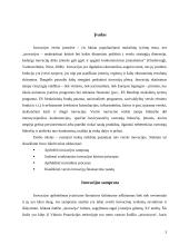 Verslo inovacijos pasaulyje 3 puslapis