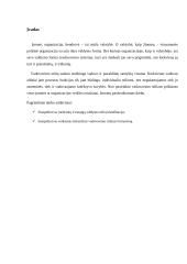 Referatas apie valdymo stilius 3 puslapis