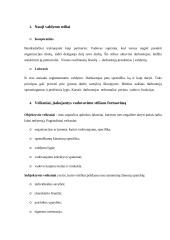 Referatas apie valdymo stilius 7 puslapis