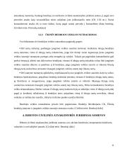 Ribotos ir neribotos civilinės atsakomybės juridiniai asmenys kursinis darbas 11 puslapis