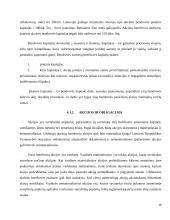 Ribotos ir neribotos civilinės atsakomybės juridiniai asmenys kursinis darbas 16 puslapis