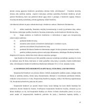 Ribotos ir neribotos civilinės atsakomybės juridiniai asmenys kursinis darbas 19 puslapis