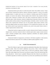 Ribotos ir neribotos civilinės atsakomybės juridiniai asmenys kursinis darbas 20 puslapis