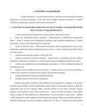 Ribotos ir neribotos civilinės atsakomybės juridiniai asmenys kursinis darbas 4 puslapis