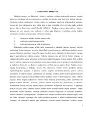 Ribotos ir neribotos civilinės atsakomybės juridiniai asmenys kursinis darbas 6 puslapis