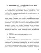 Ribotos ir neribotos civilinės atsakomybės juridiniai asmenys kursinis darbas 10 puslapis