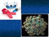 Aids (ŽIV) 11 puslapis