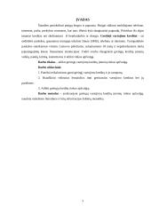 Greitųjų vartojimų kreditų rinkos apžvalga 3 puslapis