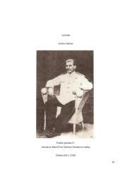Stalinas - žmogus 18 puslapis