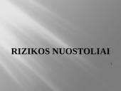 Rizikos nuostoliai