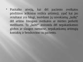 Rizikos nuostoliai 13 puslapis