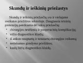 Rizikos nuostoliai 16 puslapis
