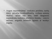 Rizikos nuostoliai 7 puslapis