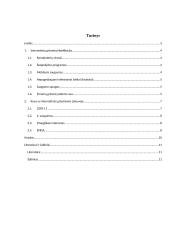 Interneto grėsmės 2 puslapis