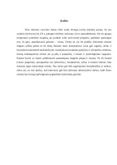 Interneto grėsmės 3 puslapis