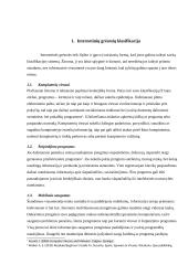 Interneto grėsmės 4 puslapis