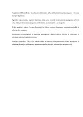 Interneto grėsmės 8 puslapis