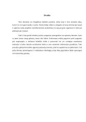 Interneto grėsmės 9 puslapis