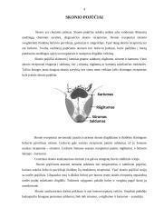 Jutimo sistemos 4 puslapis