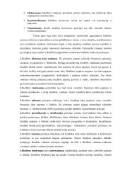Lietuvos valstybės biudžetas ir jo formavimo principų tyrimas 2006 -2010 metais 15 puslapis
