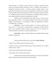 Lietuvos valstybės biudžetas ir jo formavimo principų tyrimas 2006 -2010 metais 3 puslapis