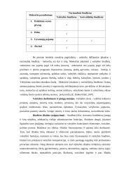 Lietuvos valstybės biudžetas ir jo formavimo principų tyrimas 2006 -2010 metais 6 puslapis