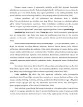 Radioaktyvieji elementai ir spinduliuotė: šaltiniai ir poveikis 8 puslapis