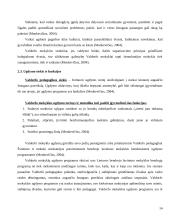 Netradicinės ugdymo formos: Valdorfo, Montessori, Suzuki pedagogika referatas 14 puslapis