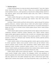 Netradicinės ugdymo formos: Valdorfo, Montessori, Suzuki pedagogika referatas 17 puslapis