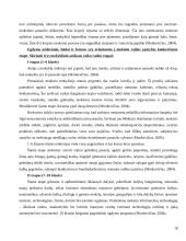 Netradicinės ugdymo formos: Valdorfo, Montessori, Suzuki pedagogika referatas 18 puslapis