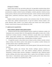 Netradicinės ugdymo formos: Valdorfo, Montessori, Suzuki pedagogika referatas 19 puslapis